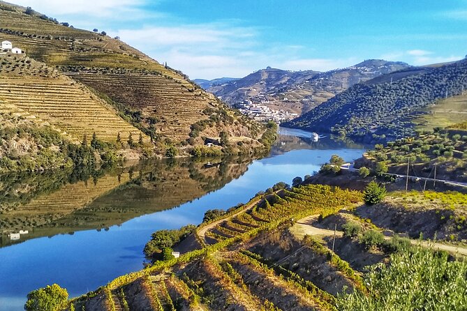Porto: Private Douro Valley All Inclusive: Tastings, Lunch & Boat - Timing and Comfort for an 8.5-Hour Private Day