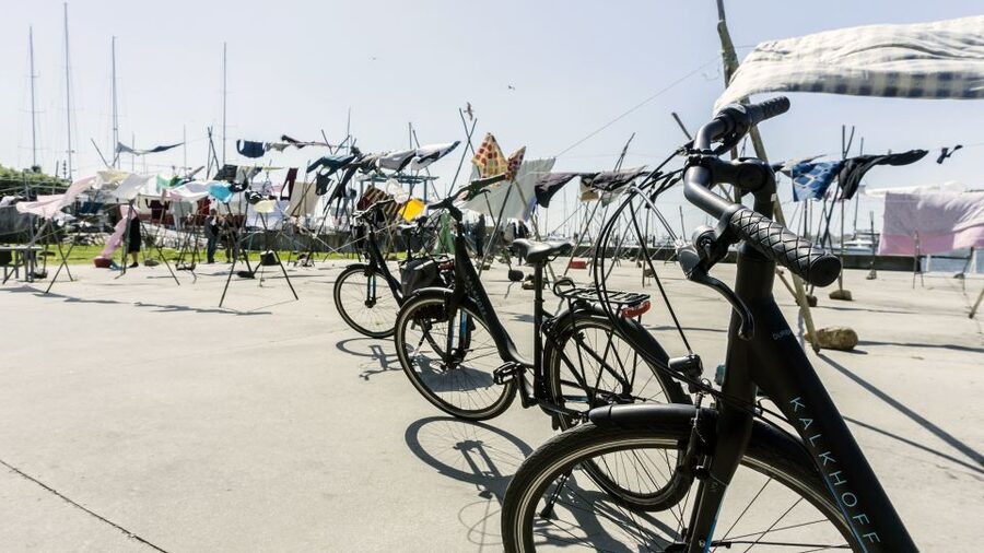 Porto Private E-Bike Tour: Douro River, Parks & Beaches - Pasteleira Park, Reservatório, and Jardim do Cálem on the way back