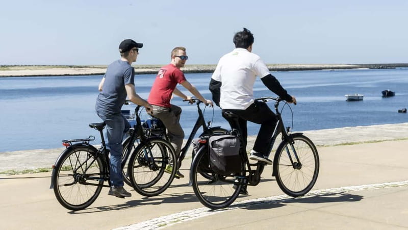 Porto Private E-Bike Tour: Douro River, Parks & Beaches - Douro River waterfront: Alfândega to Cais das Pedras, plus Massarelos church views