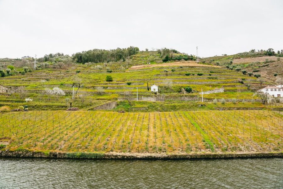 Porto - Régua - Porto Upstream Douro Cruise & Tour - Returning to Porto: Coach Back and Final Views