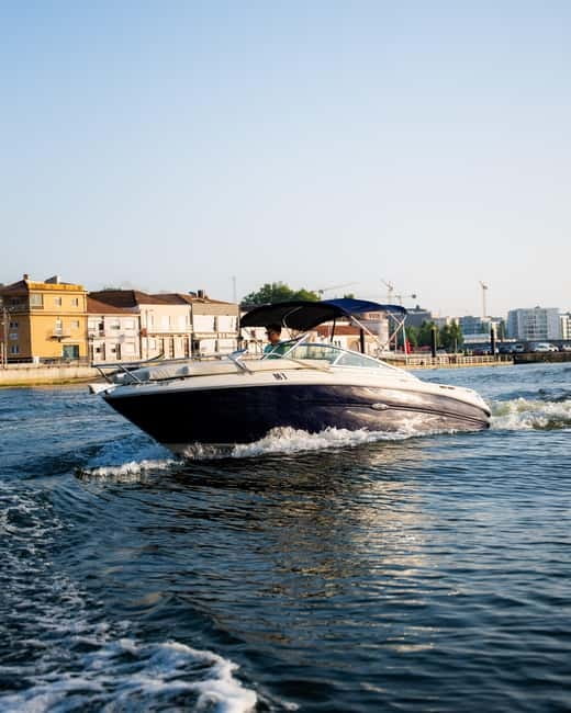 PORTO: Six Bridges Douro River Cruise with Wine and Snacks - Who should book this cruise, and who should skip it
