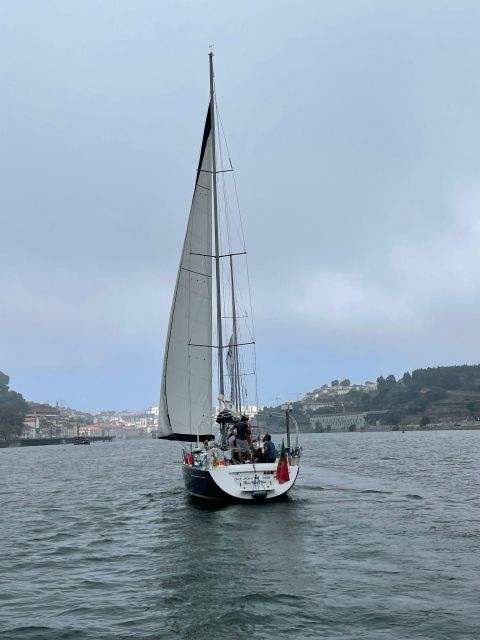 Porto: The Best Douro Boat Tour - From Marina da Afurada to the River View You Can Actually Feel