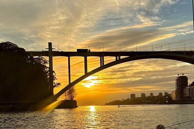 Porto: Yacht Small-Group Douro River Cruise & 6 Bridges w/ Drink - Photos, Sunset Energy, and Even a Dolphin Sighting