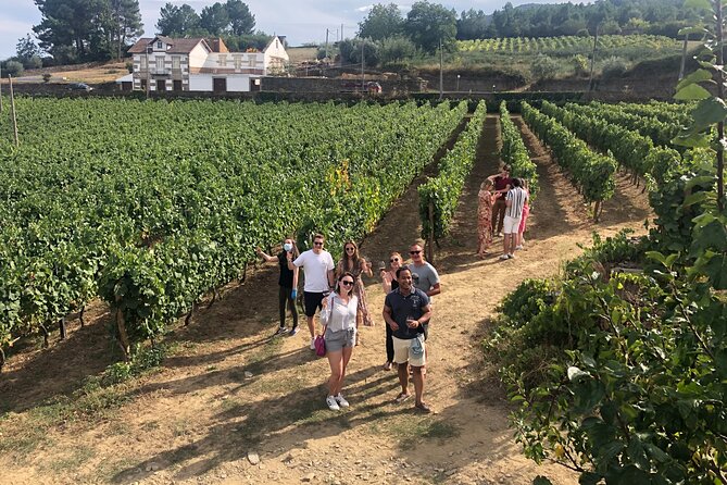 Premium Douro Valley Small-Group Tour, Wine Tasting, Lunch & Boat - From Porto to Douro in One Easy Ride