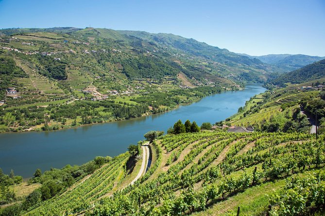 Premium Douro Valley Small-Group Tour, Wine Tasting, Lunch & Boat - Guides and group size: the difference between a good day and a great one