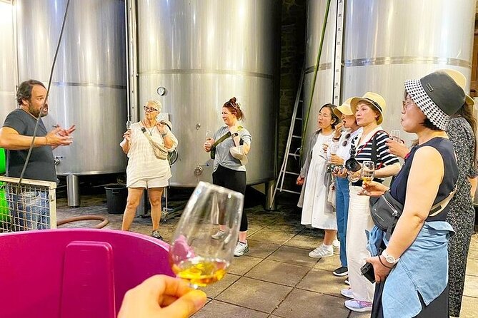 Premium Douro Valley Wine Tasting Small Group Tour with a Local - Small Boat Cruise on the Douro: The Part That Makes It Feel Real