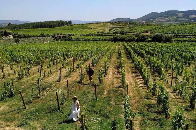 Premium Douro Valley Wine Tasting Small Group Tour with a Local - Wine Tastings Done the Douro Way: Premium Port and Douro DOC