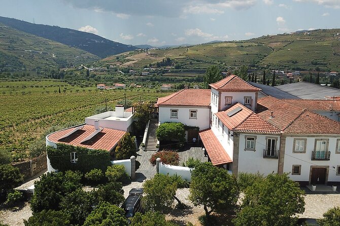 Premium Private Douro Tour: 2 Wineries with Tastings & Cruise - Douro Valley wine tour from Porto: why this day feels worth it
