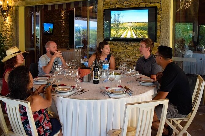 Premium Private Douro Tour: 2 Wineries with Tastings & Cruise - Guide quality can make or break the day: Antonio-style storytelling