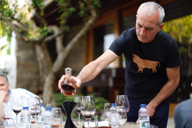 Premium Private Douro Tour: 3 Wineries with Tastings & Lunch - Porto Morning to Alto Douro: Why This Tour Feels Efficient