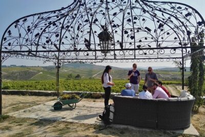 Premium Private Douro Tour: 3 Wineries with Tastings & Lunch