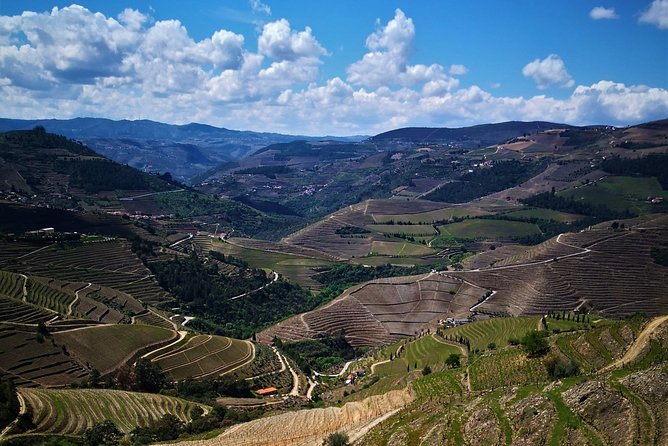 Premium Private Douro Tour: 3 Wineries with Tastings & Lunch - Pinhão Tile Station Photo Stop: Small Culture, Big Color