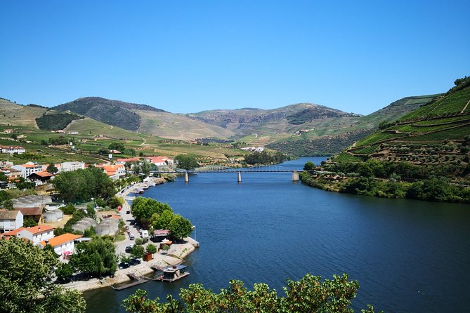 Premium Private Douro Tour: 3 Wineries with Tastings & Lunch - Stop 3, Quinta de Tourais: Douro DOC and Port, Explained Like You Asked