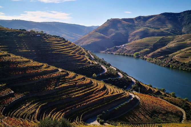 Premium Private Douro Tour: 3 Wineries with Tastings & Lunch - Stop 4, Quinta Seara d’Ordens: The River Road Feel and the Olive Oil Bonus