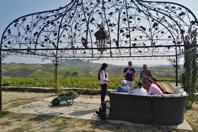 Premium Private Douro Tour: 3 Wineries with Tastings & Lunch - Stop 1, Quinta de Avessada: Moscatel With a View of the Vineyard Past