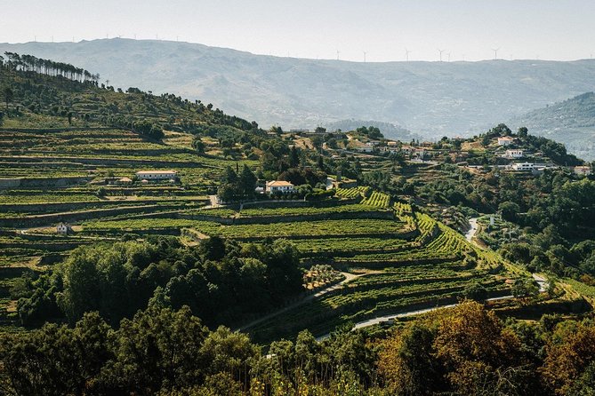 Premium Private Douro & Vinho Verde Tour: Wine Tastings & Lunch - Key points to know before you go