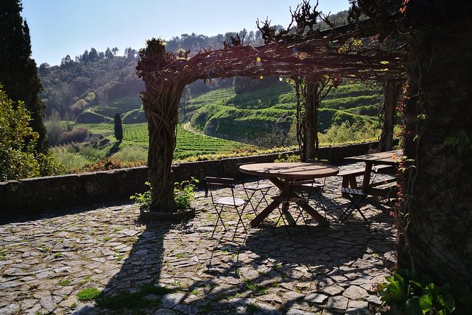 Premium Private Douro & Vinho Verde Tour: Wine Tastings & Lunch - From Porto into the Douro: how the day is paced