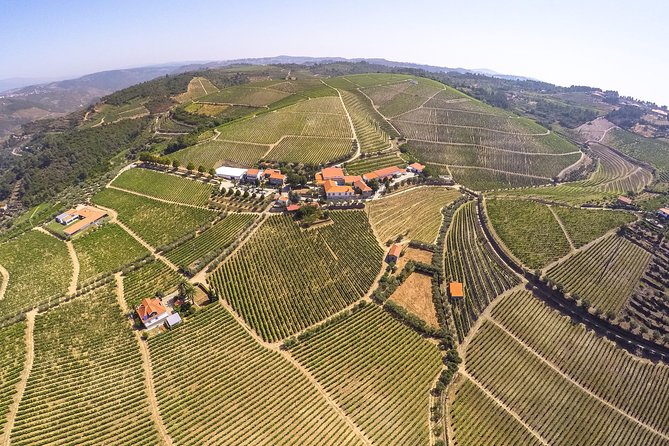 Premium Private Douro & Vinho Verde Tour: Wine Tastings & Lunch - Lunch inside the winery: where the day stops feeling rushed