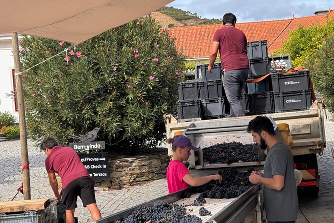 Private 4wd adventure in DE Douro: lunch, wine tasting and boat - Pickup and Start Time: How the 9:00 am Day Works