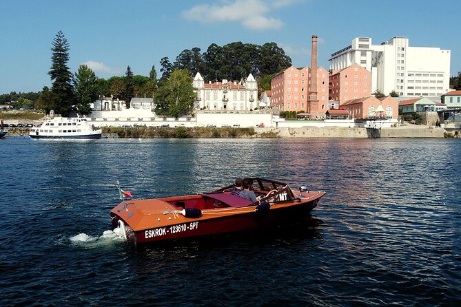 Private Boat Tour - Ricky's Douro - Key highlights you’ll actually care about