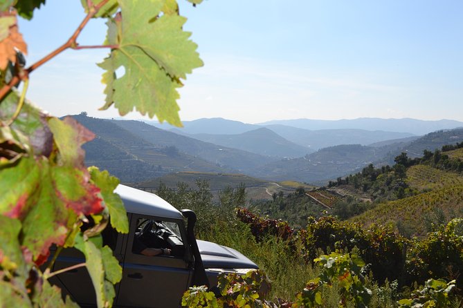 Private Douro 4x4 Adventure from Porto with Deluxe Pic nic - Key takeaways