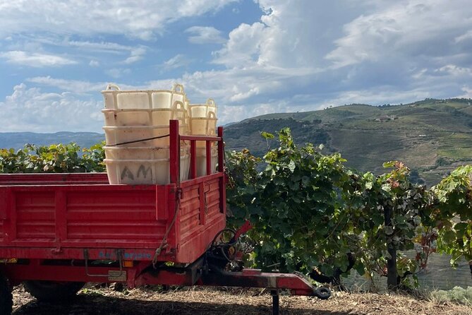 Private Douro 4x4 Adventure from Porto with Deluxe Pic nic - Quinta Seara d’Ordens: winery visit plus port and wine tasting