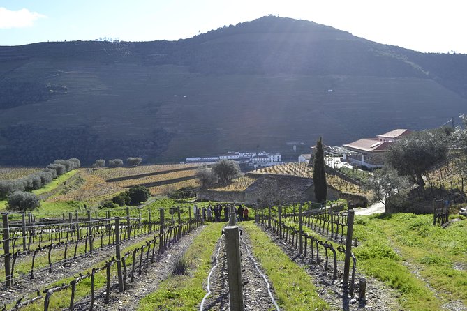 Private Douro 4x4 Adventure from Porto with Deluxe Pic nic - English guiding, pacing, and what “private” changes in your day