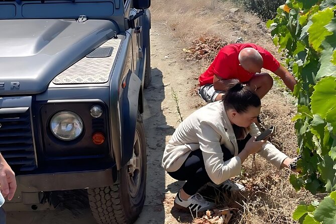 Private Douro 4x4 Adventure from Porto with Deluxe Pic nic - Price and value: what $393.20 per person buys in this Douro day