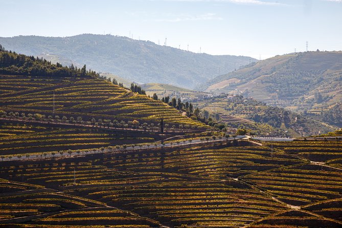Private Douro 4x4 Adventure from Porto with Deluxe Pic nic - Igreja de São Gonçalo and Tâmega River sweets: small culture stop, big mood shift