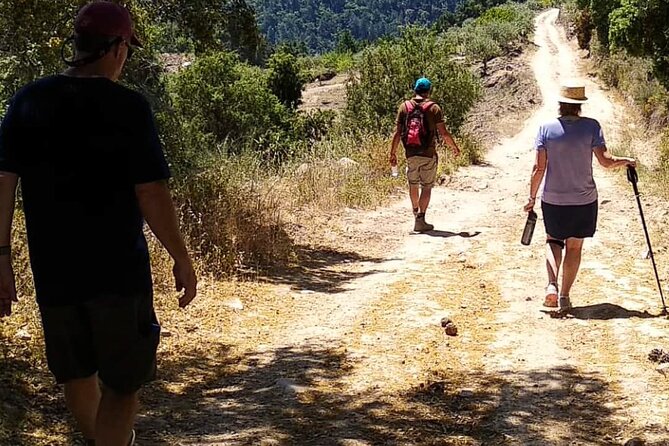 Private Douro and Porto 4x4 Tour with Wine Tasting and Boat Trip - Favaios wine tasting and the lunch you will remember