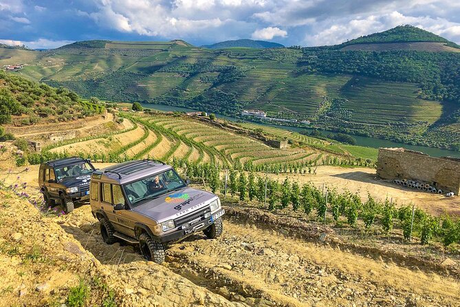 Private Douro and Porto 4x4 Tour with Wine Tasting and Boat Trip - Douro River from the water: how the valley makes sense