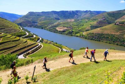 Private Douro Tour with Lunch Wine Tasting Boat and Train Cruise