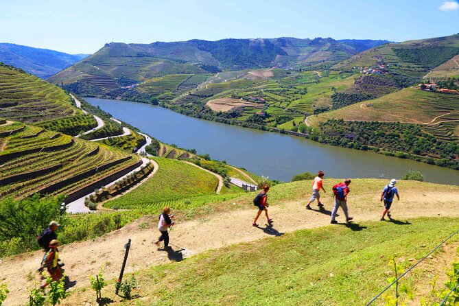 Private Douro Tour with Lunch Wine Tasting Boat and Train Cruise - Amarante to Pinhão: The Douro Valley UNESCO Route in One Day