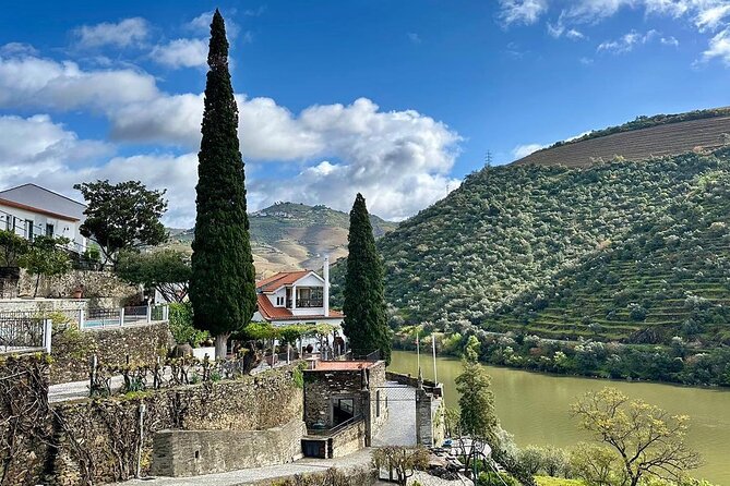 Private Douro Valley, 2 wine tastings and boat tour - Peso da Régua Wine Estate: Where the Tasting Gets Real