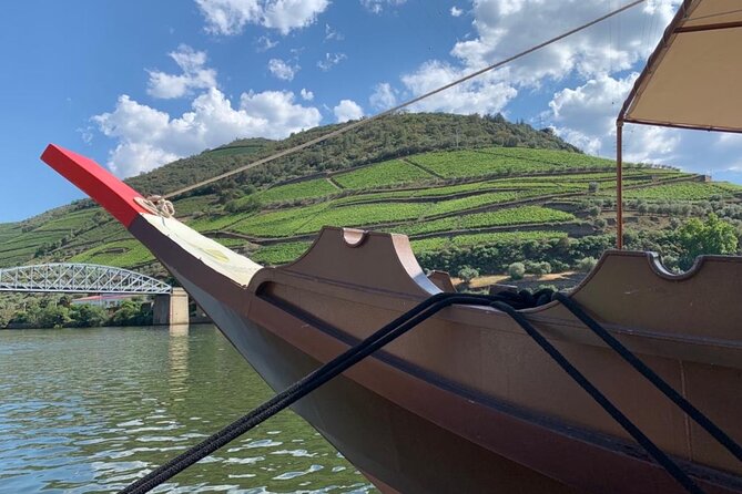 Private Douro Valley, 2 wine tastings and boat tour - Two Tastings Plus Boat Time: How to Pace Yourself