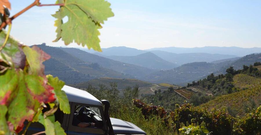 Private Douro Valley 4WD Tour with Wine Tasting and Picnic - Key highlights worth your time