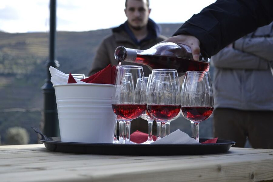 Private Douro Valley 4WD Tour with Wine Tasting and Picnic - São Leonardo de Galafura viewpoint picnic: what to expect