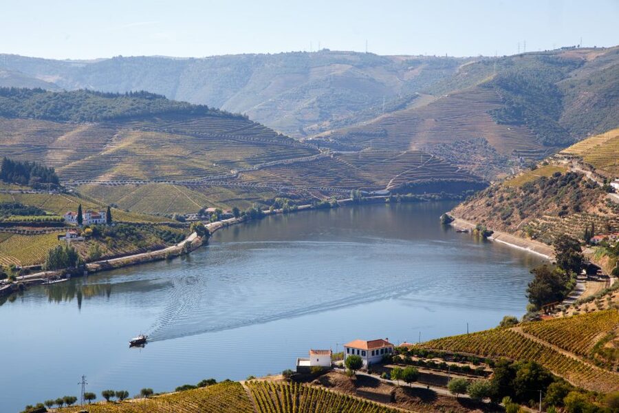 Private Douro Valley 4WD Tour with Wine Tasting and Picnic - Price and value: what your $359 buys you