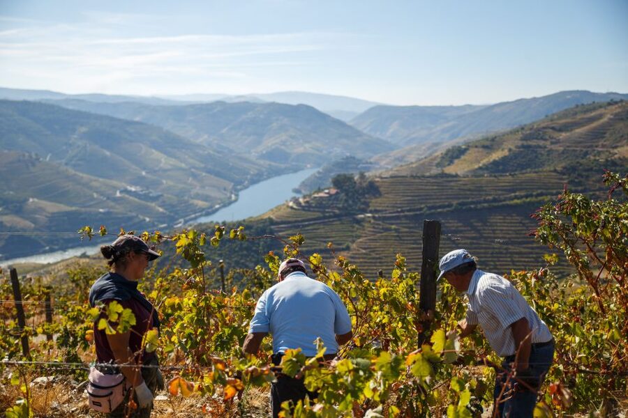 Private Douro Valley 4WD Tour with Wine Tasting and Picnic - Should you book this Douro Valley 4WD tour?