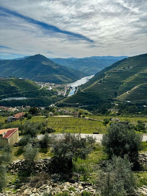 Private Douro Valley Full Day Tour - Choosing Wineries and Tasting Port Plus Still Wines