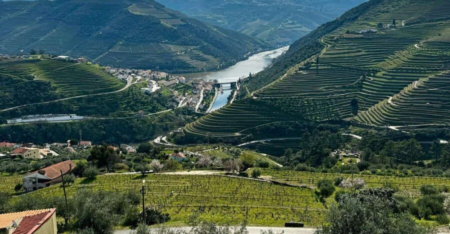 Private Douro Valley Full Day Tour - Mercedes Minivan Comfort and That Famous 2015 Return Road