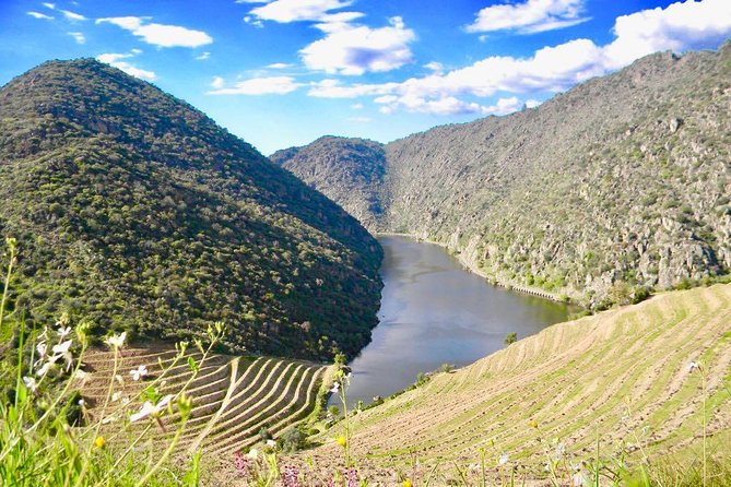 Private Douro Valley - Senses Experiences - Stop 1 in Amarante: Historic Center Time That Resets the Day