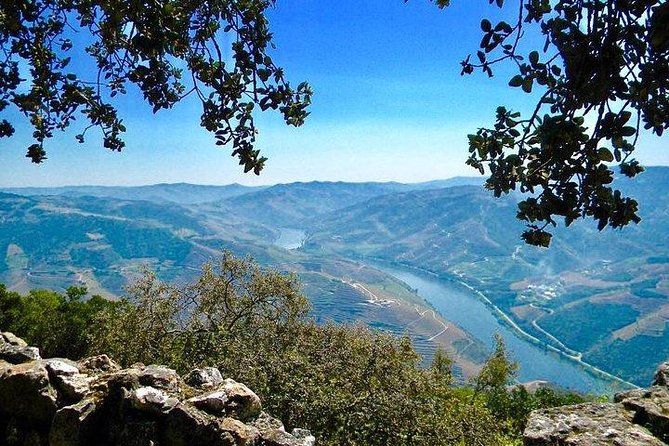 Private Douro Valley - Senses Experiences - Food and Restaurant Reservations: Where the Day Can Become Local