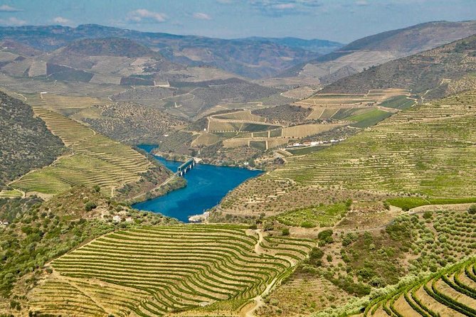 Private Douro Valley - Senses Experiences - Price and Value: $380.85 for Up to 4 People