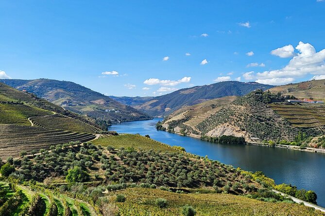 Private Douro Valley Tour (2 wineries + boat) - Key things to know before you go