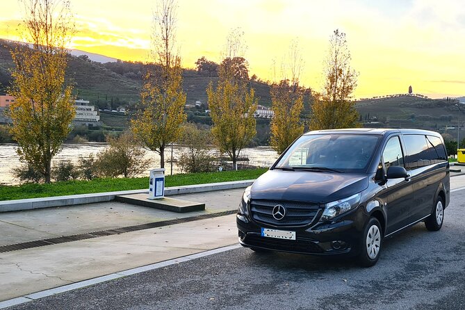 Private Douro Valley Tour (2 wineries + boat) - Stop 1 in Peso da Régua: wine and olive oil, done right