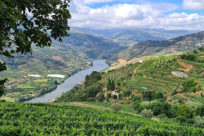 Private Douro Valley Tour (2 wineries + boat) - The day’s flow from Peso da Régua at 10:30