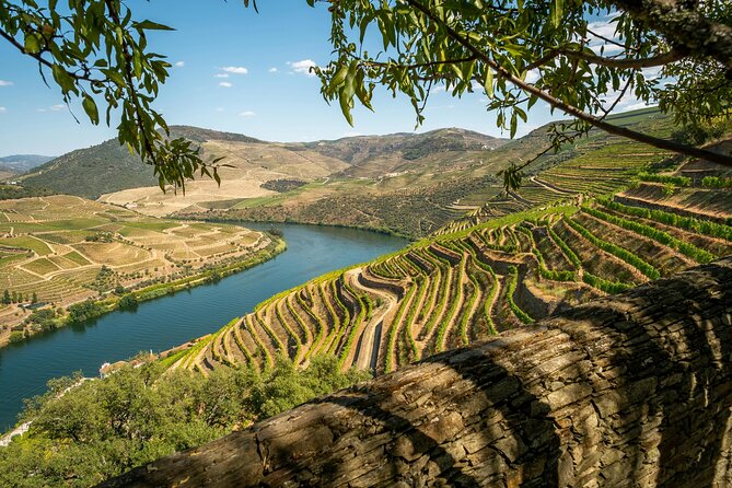 Private Douro Valley Tour: Boutique Winery & River Cruise - Key highlights to know before you go