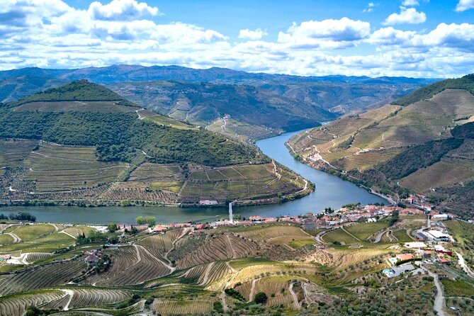 Private Douro Valley Tour: Boutique Winery & River Cruise - Why this private Douro Valley day feels low-stress from Porto
