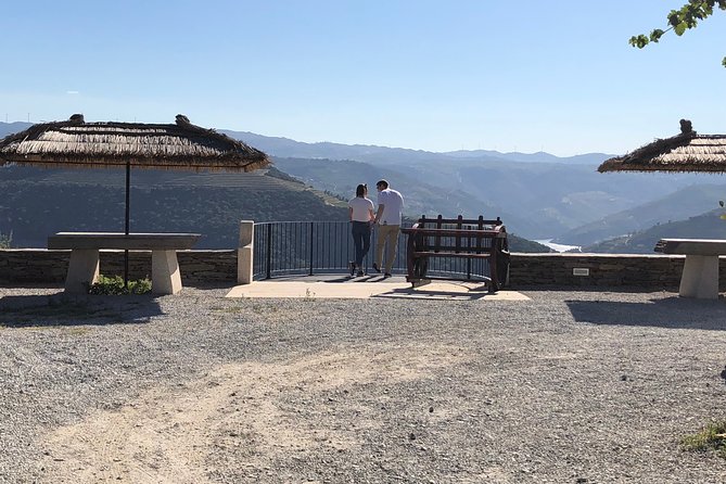 Private Douro Valley Tour from Porto - Lunch Included: Choose Fish, Iberian Pork, or Vegetarian